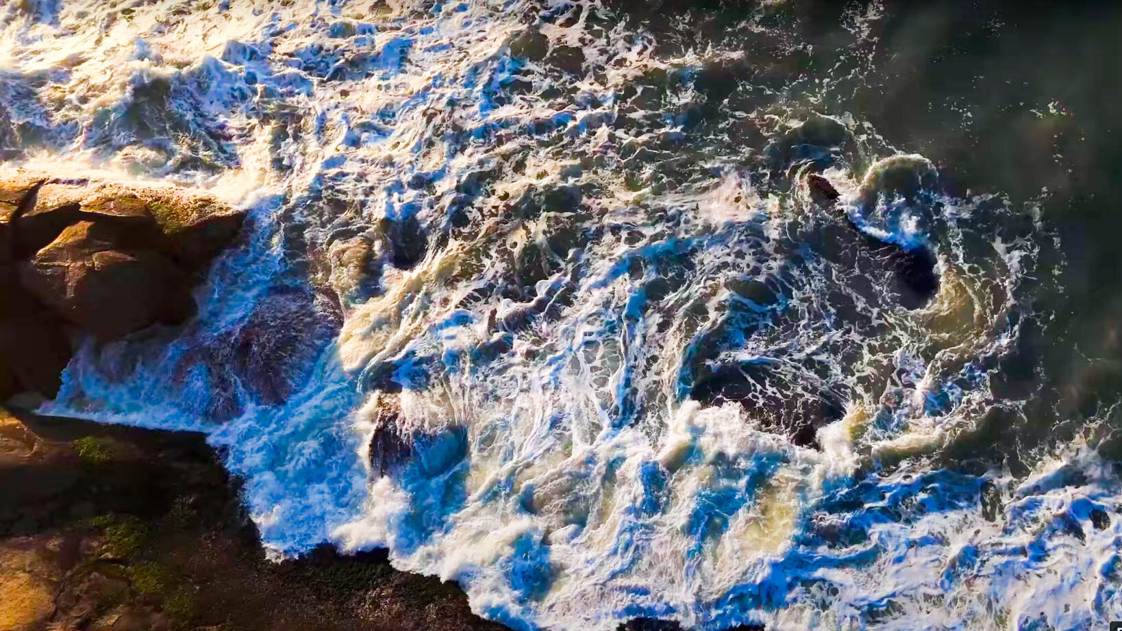 Projeto – Ilha das aves que não voam